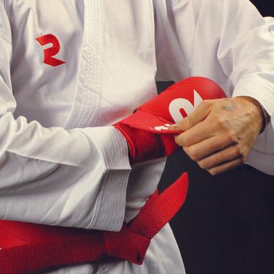 Fightart Karate Mitt Original