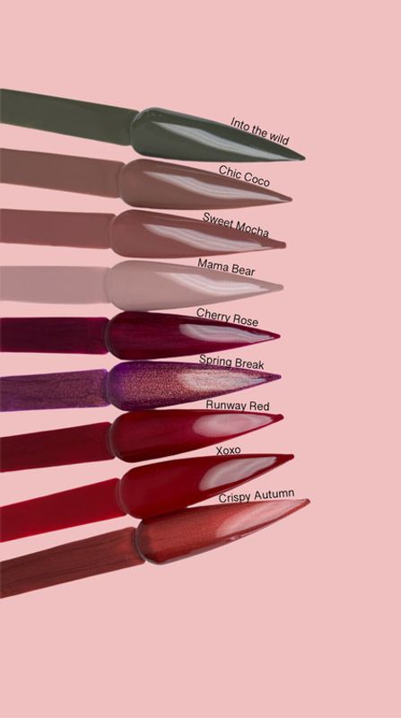 Fall Favorites Collection