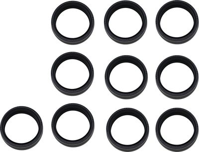 Tätningar James Gasket H-D 02-20 (10-pack)