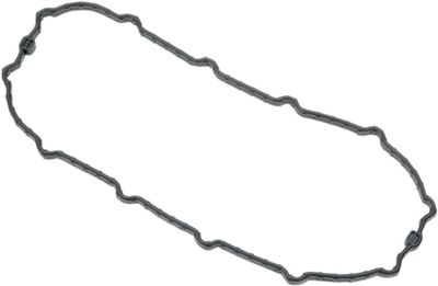 Tätning bränslepumplucka Drag Specialties Dyna 04-13