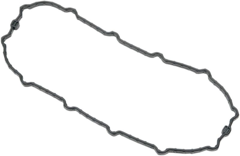 Tätning bränslepumplucka Drag Specialties Dyna 04-13
