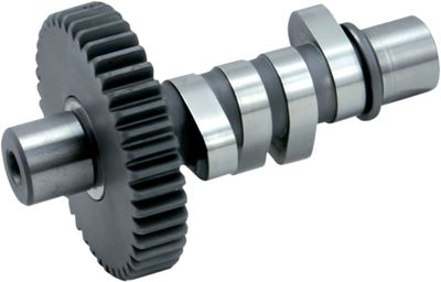 Kamaxel S&S H-grind Panhead 58-65