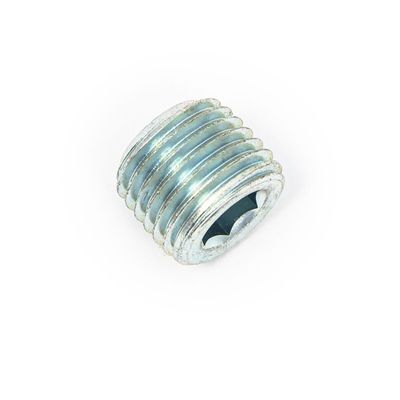 Gängplugg insex vevhus/växellåda S&S Twin Cam 99-17