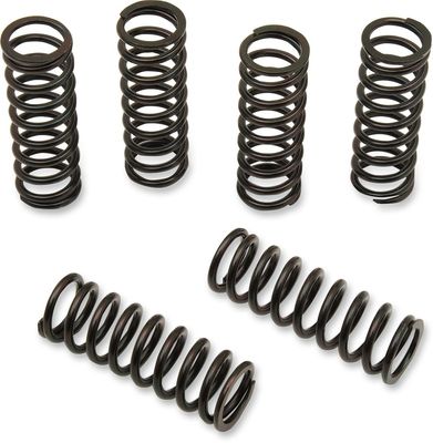 Fjädersats koppling Barnett Honda 02-22, Suzuki 12-24