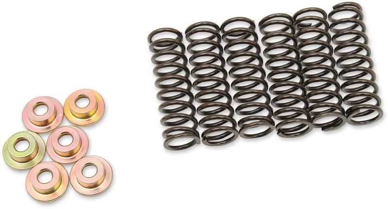 Fjädersats koppling Barnett Yamaha 01-24 505-42-06031