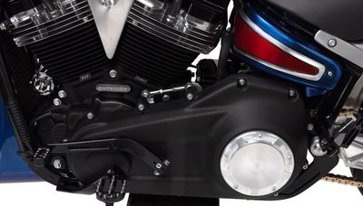 Växelspak Thrashin Supply billet Softail 18-upp svart