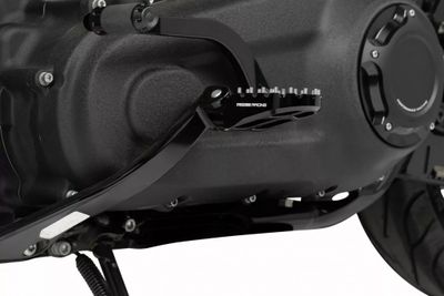 Fotpinnar Moose Offroad Pan America