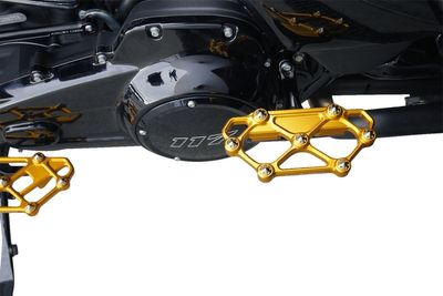 Fotplattor Arlen Ness diamond passagerare H-D 83-24 guld
