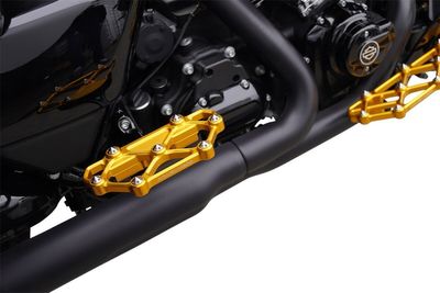 Fotplattor Arlen Ness diamond passagerare H-D 83-24 guld
