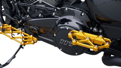 Fotplattor Arlen Ness diamond passagerare H-D 83-24 guld