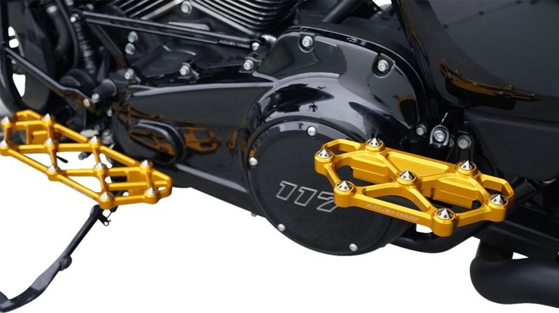 Fotplattor Arlen Ness diamond passagerare H-D 83-24 guld