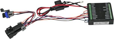 Modul Custom Dynamics Dynamic Indian 15-upp