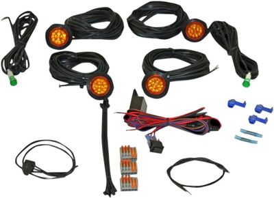 Blinkers Custom Dynamics LED