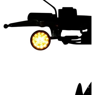Insatser blinkers Custom Dynamics ProBEAM H-D 00-24