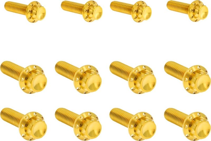 Bultsats Arlen Ness 12 Side Trap M8 17-25 titan/guld