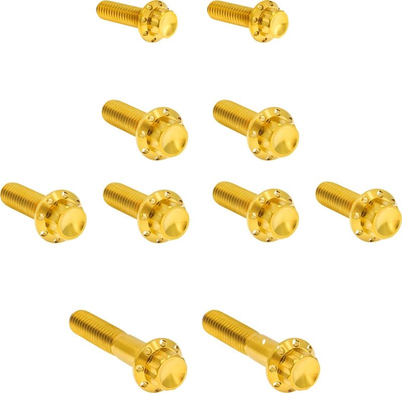 Bultsats Arlen Ness 12 Side Trap titan guld