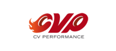 CV Performance