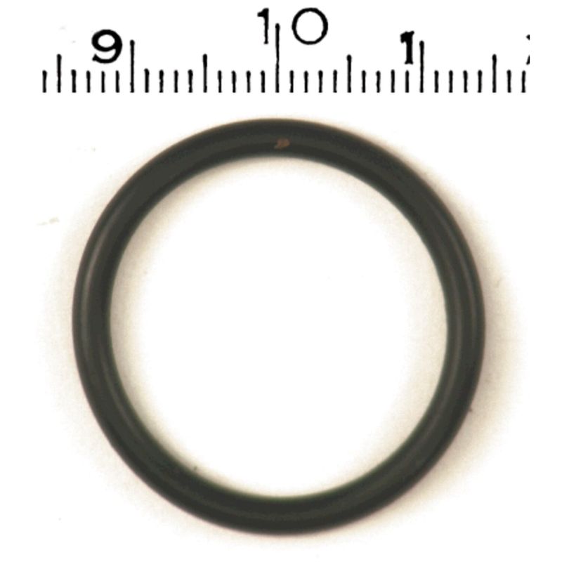 O-ring kåpa James Gaskets Large nedre L79-84 Big Twin (25-pack)
