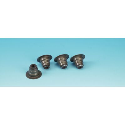 Tätningssats ventilstyrning James Gaskets Viton 4 Twin Cam 05-17 (4-pack)