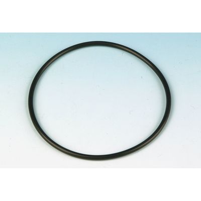 O-ring startmotor James Gaskets Big Twin 91-17 (2-pack)