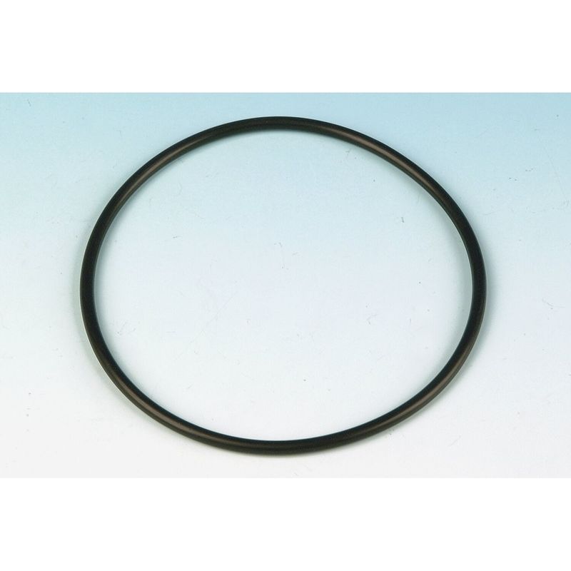 O-ring startmotor James Gaskets Big Twin 91-17 (2-pack)