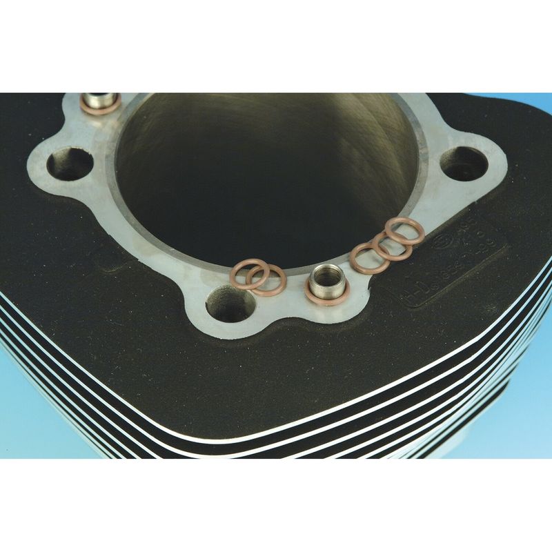 O-ring topplock James Gaskets Twin Cam 99-03 (10-pack)