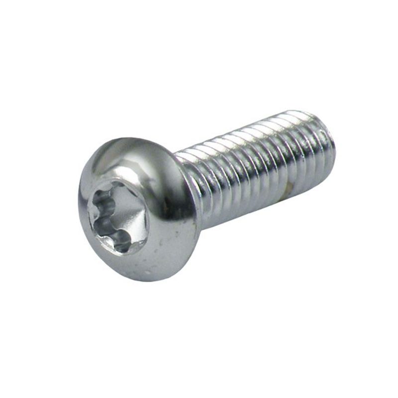 Torxskruv kullrig skalle Gardner-Westcott 10/24 x 5/8" krom (5-pack)