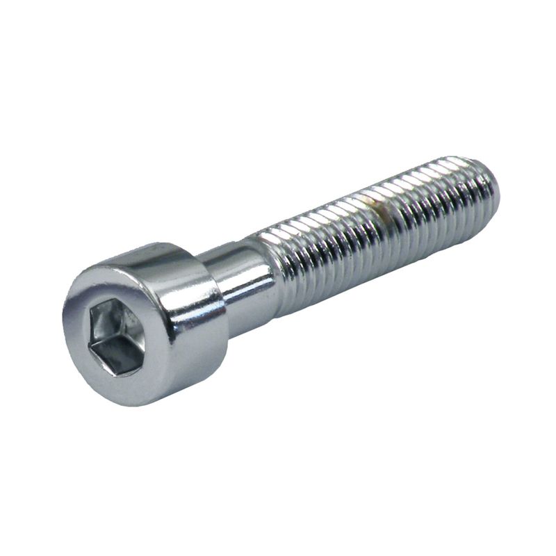 Insexskruv Gardner-Westcott M10 30mm polerad (5-pack)
