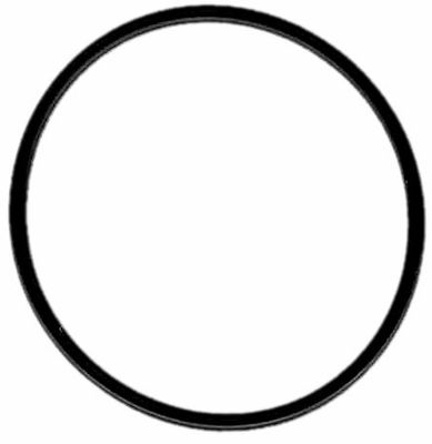 O-ring inspektionskåpa koppling XL 91-94.
