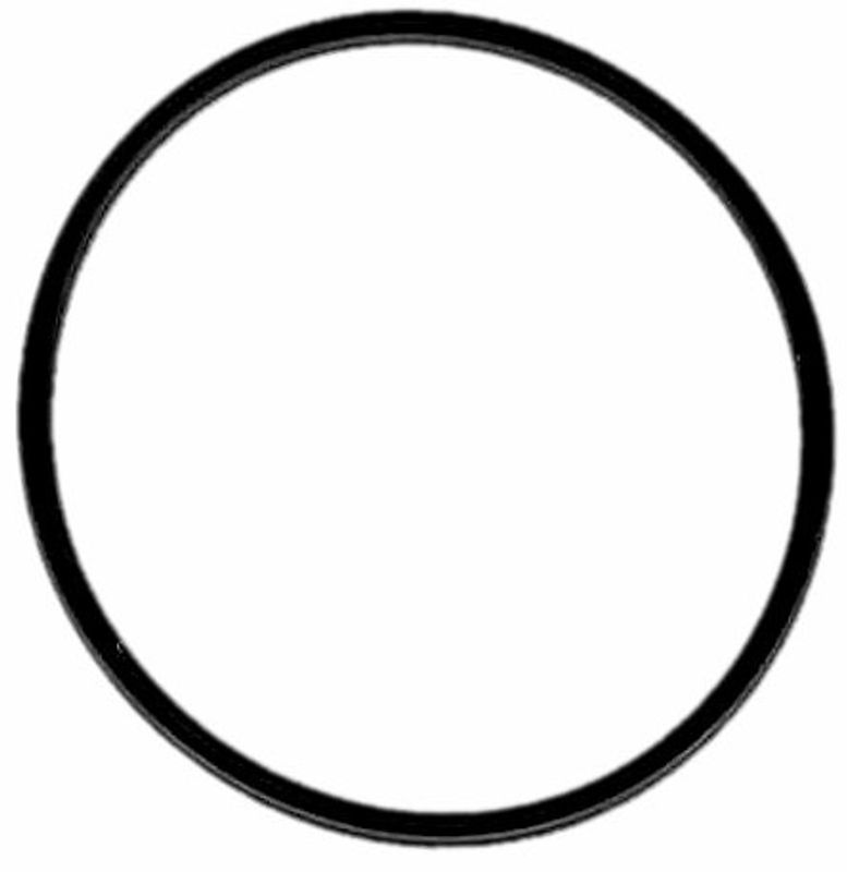 O-ring inspektionskåpa koppling XL 91-94.