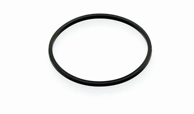 O-ring inspektionslock transkåpa XL 91-upp
