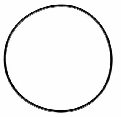 O-ring startmotor James Gaskets Big Twin 91-17