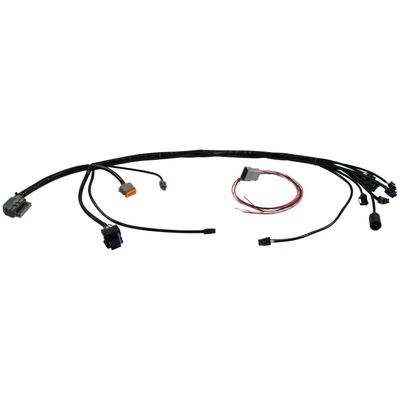 Kabelhärva S&S EFI Custom applications with 01-17