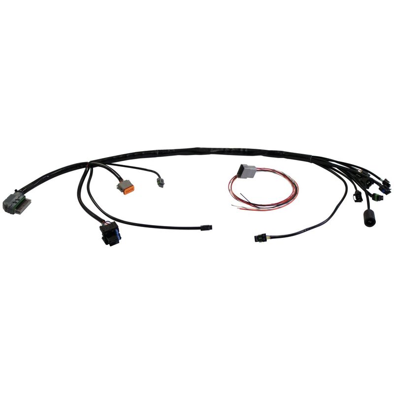 Kabelhärva S&S EFI Custom applications with 01-17