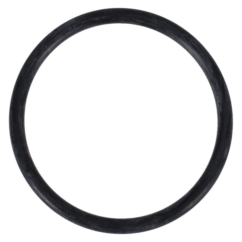 O-ring Mikuni