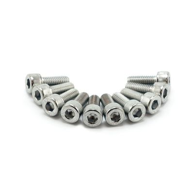 Insexskruvar Colony 8mm 50mm (10-pack) krom