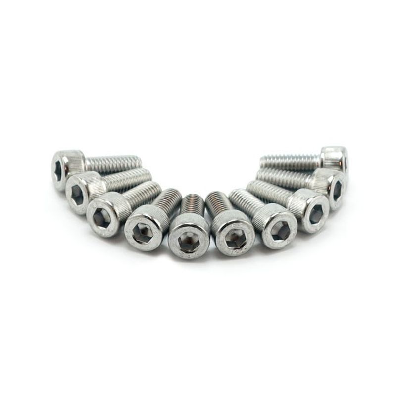Insexskruvar Colony 10mm 25mm (10-pack) krom