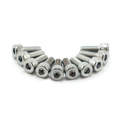 Insexskruvar Colony 8mm 40mm (10-pack) krom