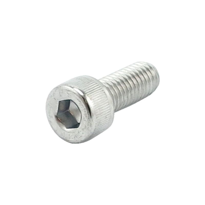 Insexskruvar Colony 6mm 50mm (10-pack) krom