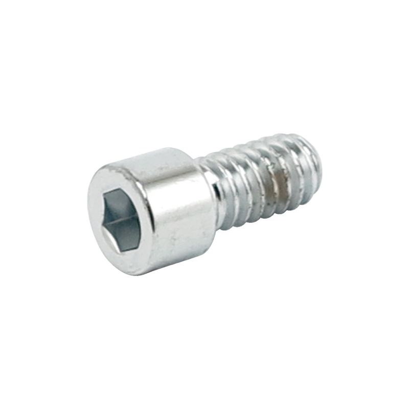 Insexskruvar Colony 4 5/16-18x3 (10-pack) polerad krom