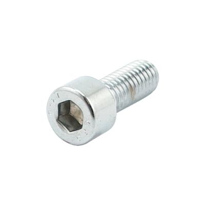 Insexskruvar Colony 10mm 30mm (10-pack) polerad krom