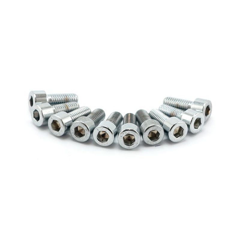 Insexskruvar Colony 10mm 40mm (10-pack) polerad krom