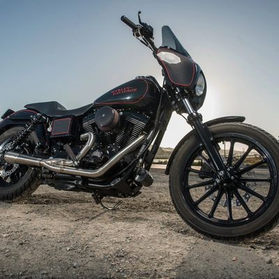 Luftfilter Arlen Ness 50-740 1 Sucker kolfiber Softail 16-17