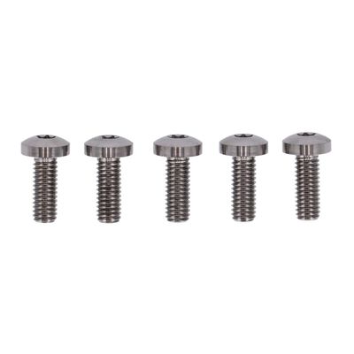 Bultsats bak Screws4Bikes polerad H-D 92-24