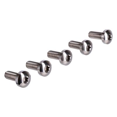 Bultsats bak Screws4Bikes polerad H-D 92-24