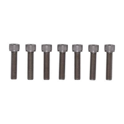 Bultsats fram Screws4Bikes 6x SH XL Sportster 04-20