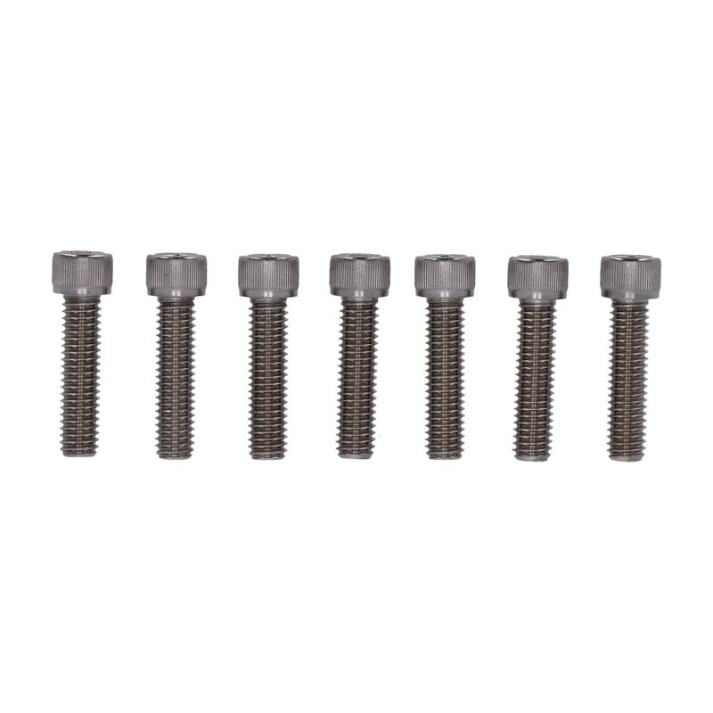 Bultsats fram Screws4Bikes 6x SH XL Sportster 04-20