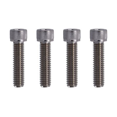 Bultsats Screws4Bikes polerad Softail FLSTF/B/BS Fat Boy m.fl.