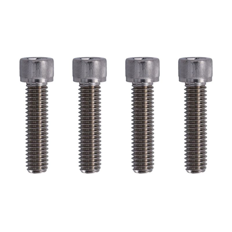 Bultsats Screws4Bikes polerad Softail FLSTF/B/BS Fat Boy m.fl.