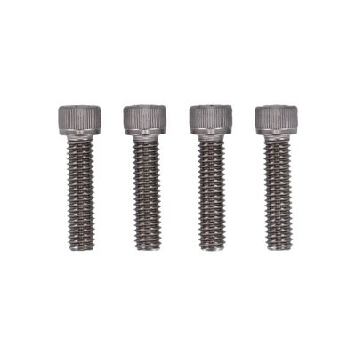 Bultsats Screws4Bikes rostfri